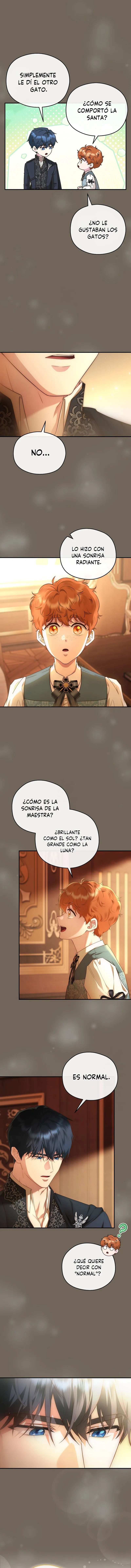 3 Las violetas que florecieron en el jardín