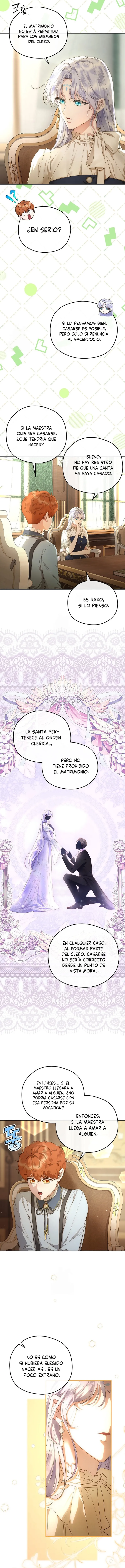 5 Las violetas que florecieron en el jardín