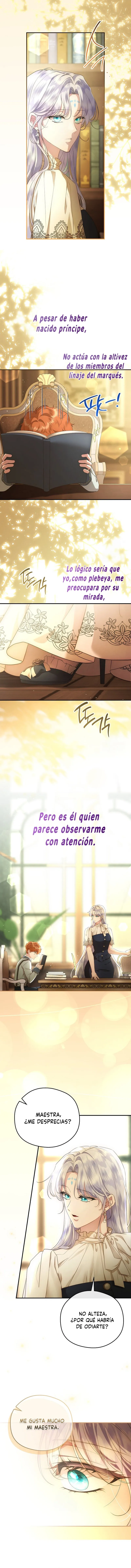 8 Las violetas que florecieron en el jardín