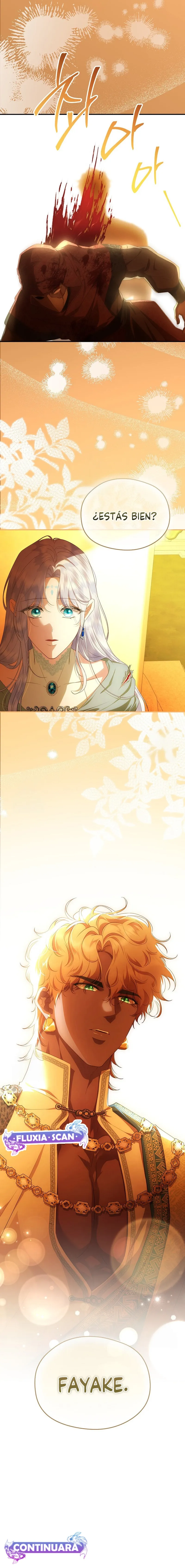 11 Las violetas que florecieron en el jardín