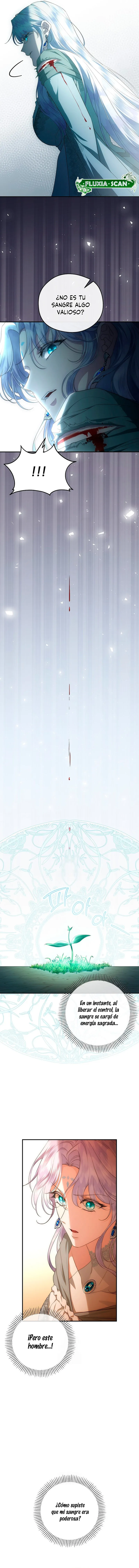 11 Las violetas que florecieron en el jardín