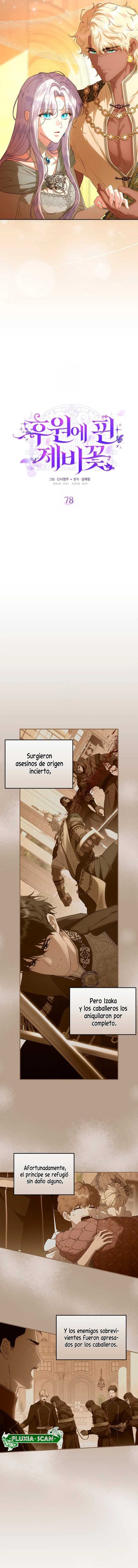 2 Las violetas que florecieron en el jardín