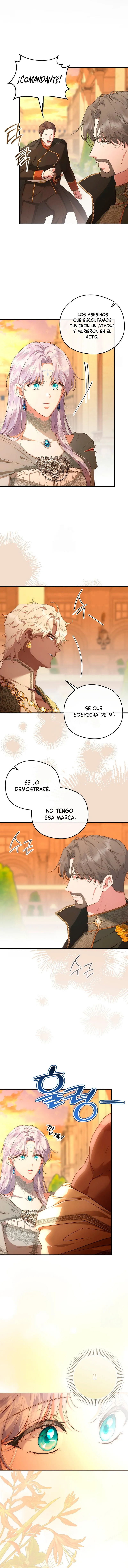 6 Las violetas que florecieron en el jardín