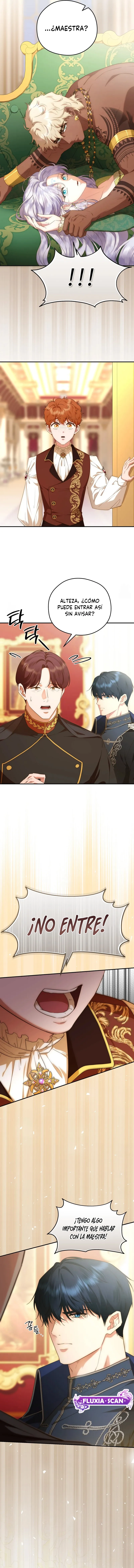 8 Las violetas que florecieron en el jardín