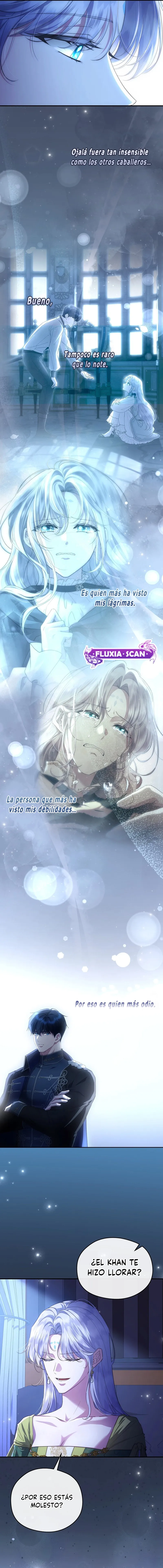 14 Las violetas que florecieron en el jardín