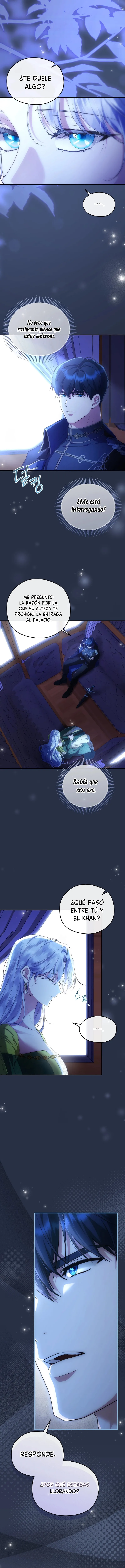 13 Las violetas que florecieron en el jardín