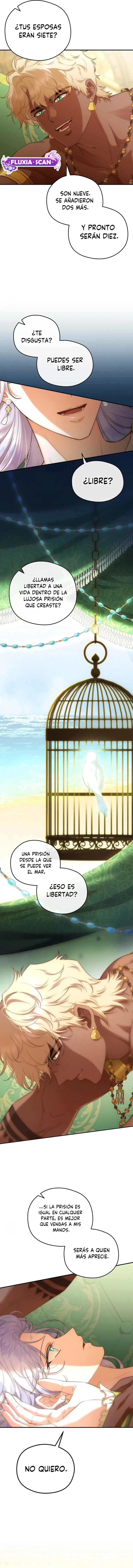 4 Las violetas que florecieron en el jardín