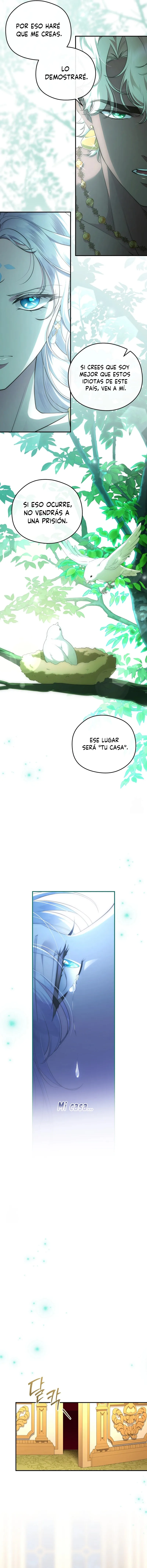 7 Las violetas que florecieron en el jardín