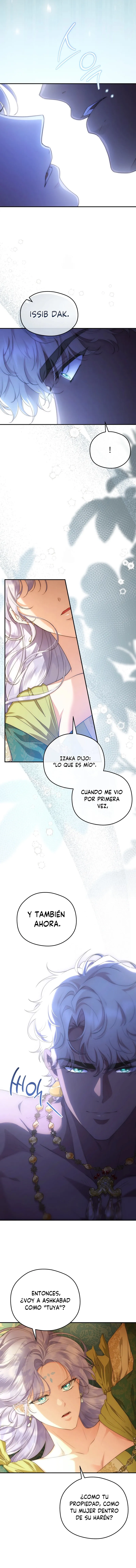 3 Las violetas que florecieron en el jardín