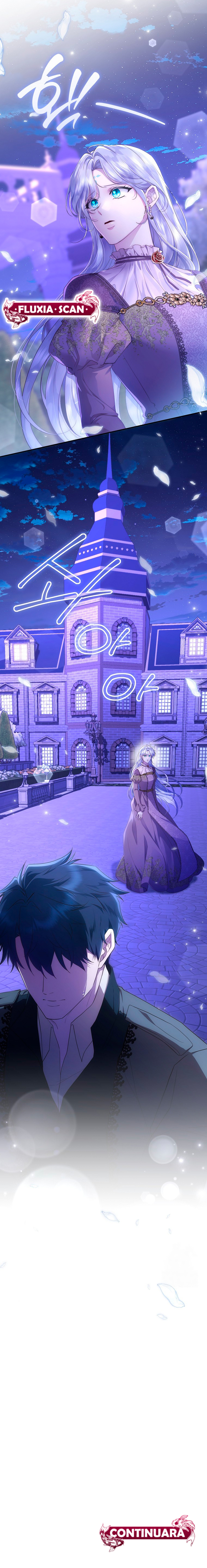 11 Las violetas que florecieron en el jardín