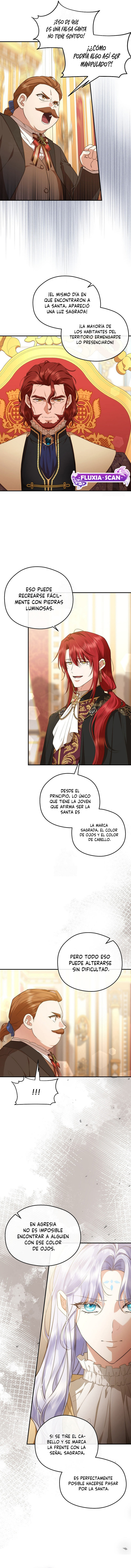 3 Las violetas que florecieron en el jardín