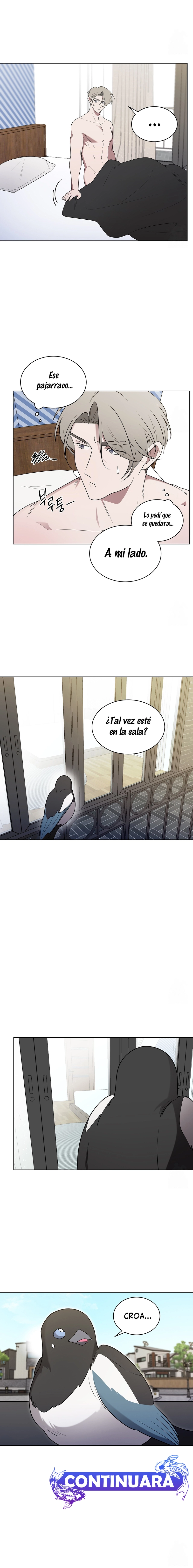 8 Cuando viene la urraca