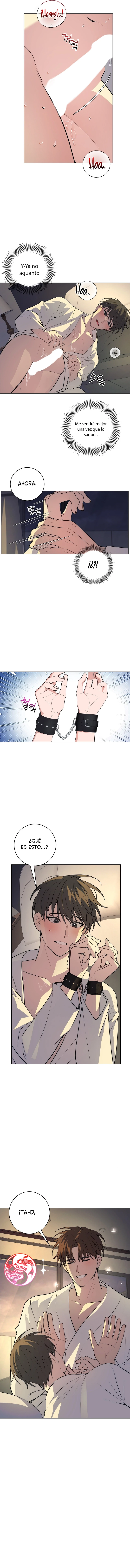 7 Tres caballeros, es real