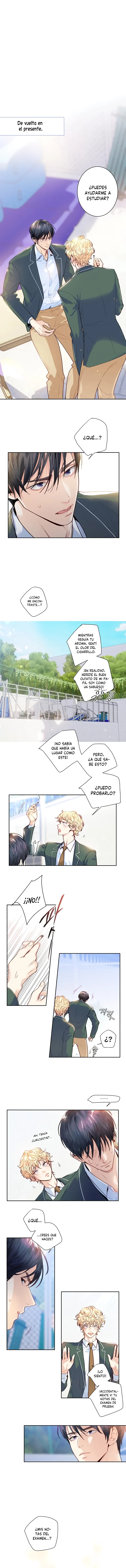 5 ¡El amor es una ilusión!  Superstar