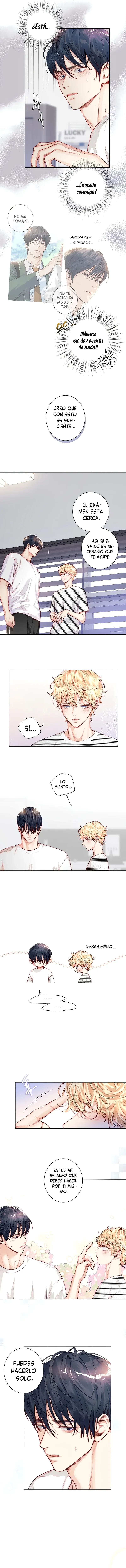 4 ¡El amor es una ilusión!  Superstar