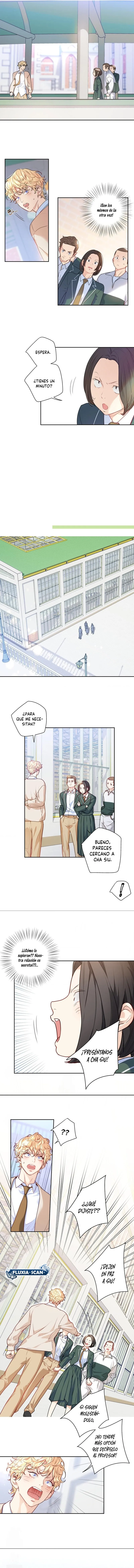 7 ¡El amor es una ilusión!  Superstar