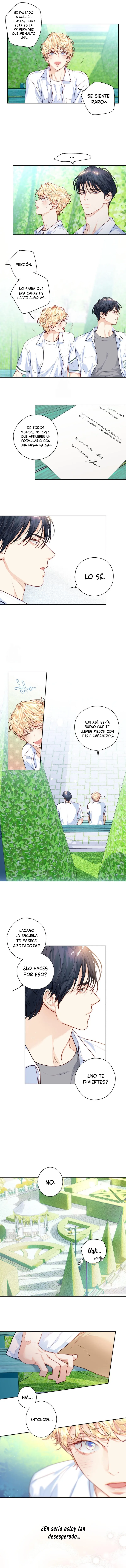 7 ¡El amor es una ilusión!  Superstar