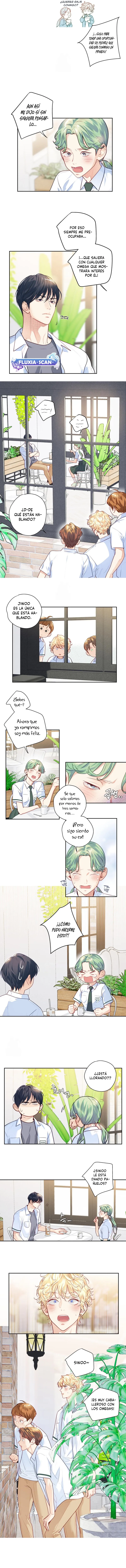 5 ¡El amor es una ilusión!  Superstar