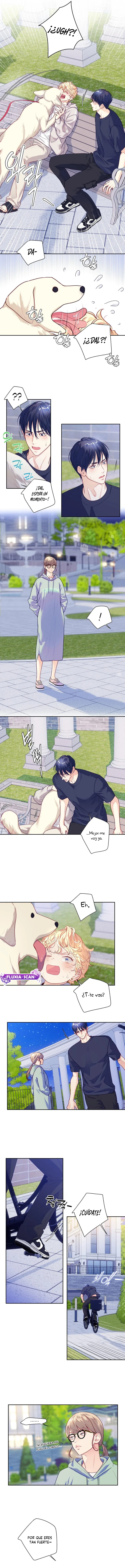 5 ¡El amor es una ilusión!  Superstar