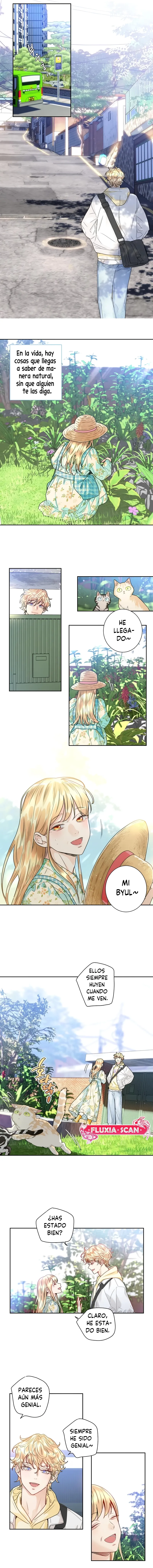 4 ¡El amor es una ilusión!  Superstar