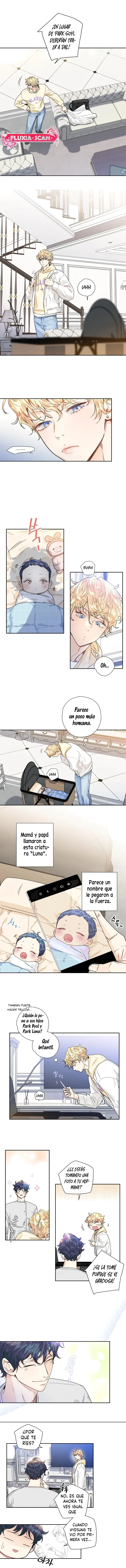 2 ¡El amor es una ilusión!  Superstar