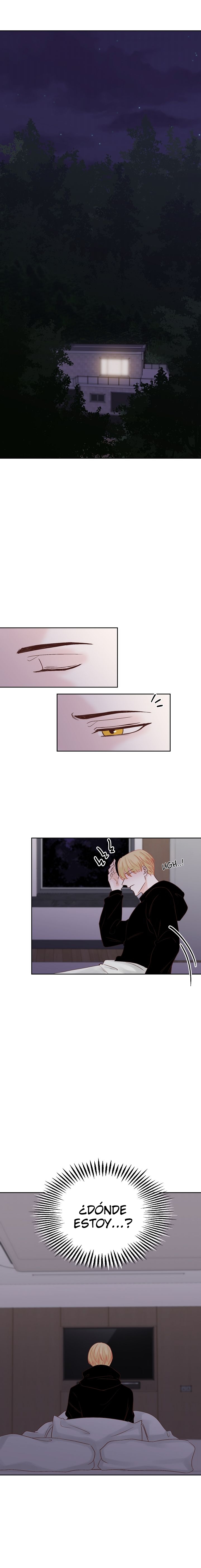 5 ¡Despierte, sr Presidente!