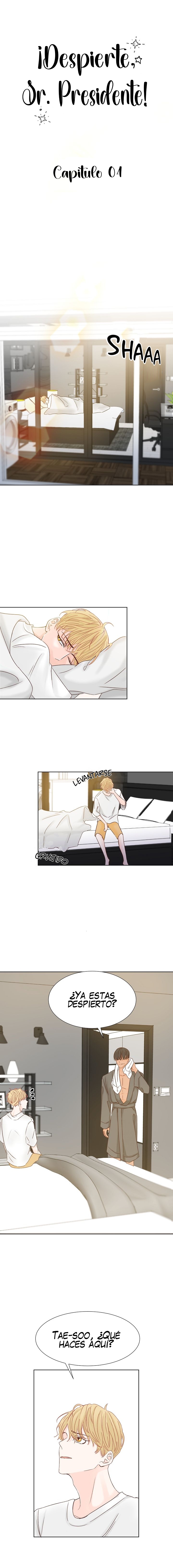 2 ¡Despierte, sr Presidente!