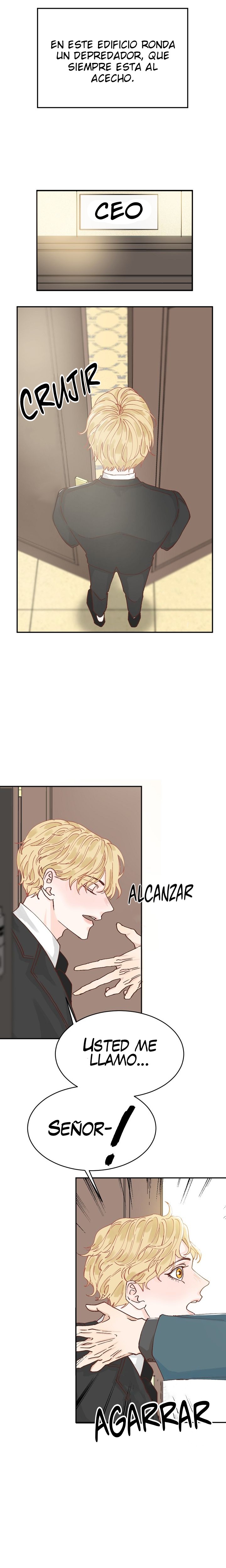 3 ¡Despierte, sr Presidente!