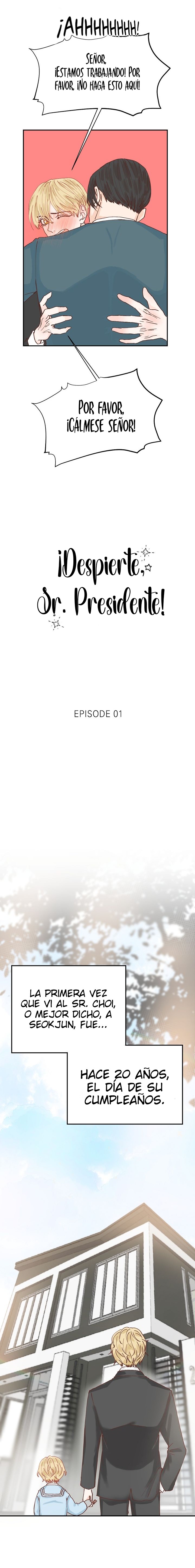 5 ¡Despierte, sr Presidente!