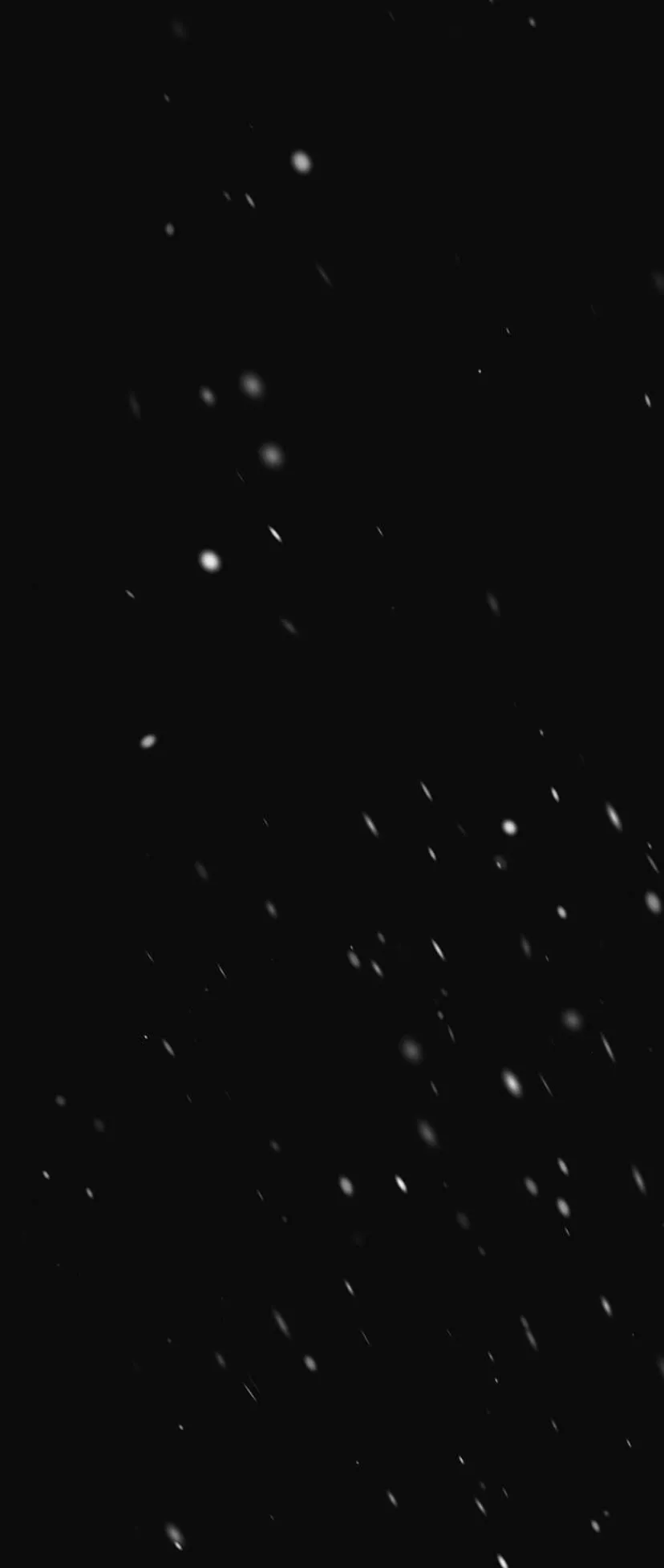 39 Príncipe problemático