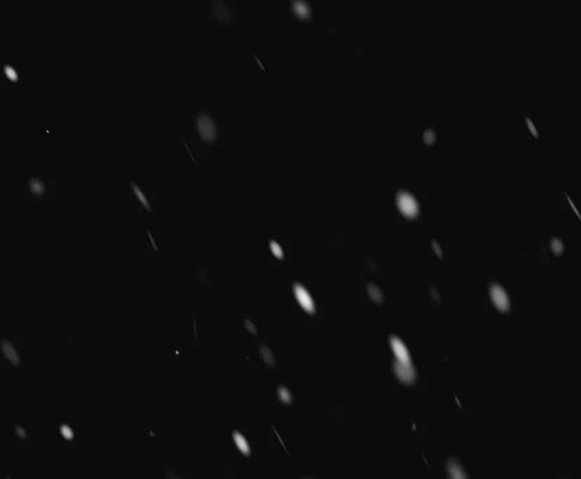 48 Príncipe problemático