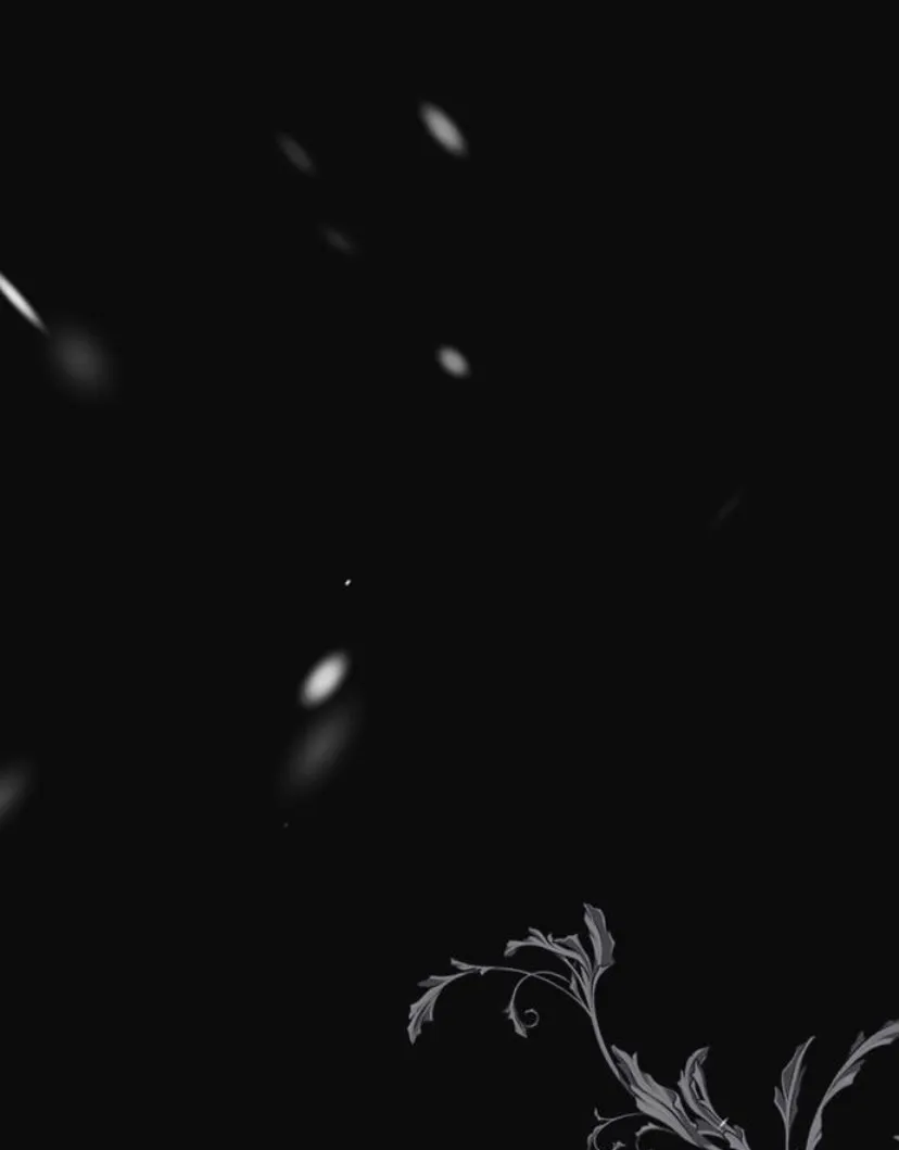 105 Príncipe problemático