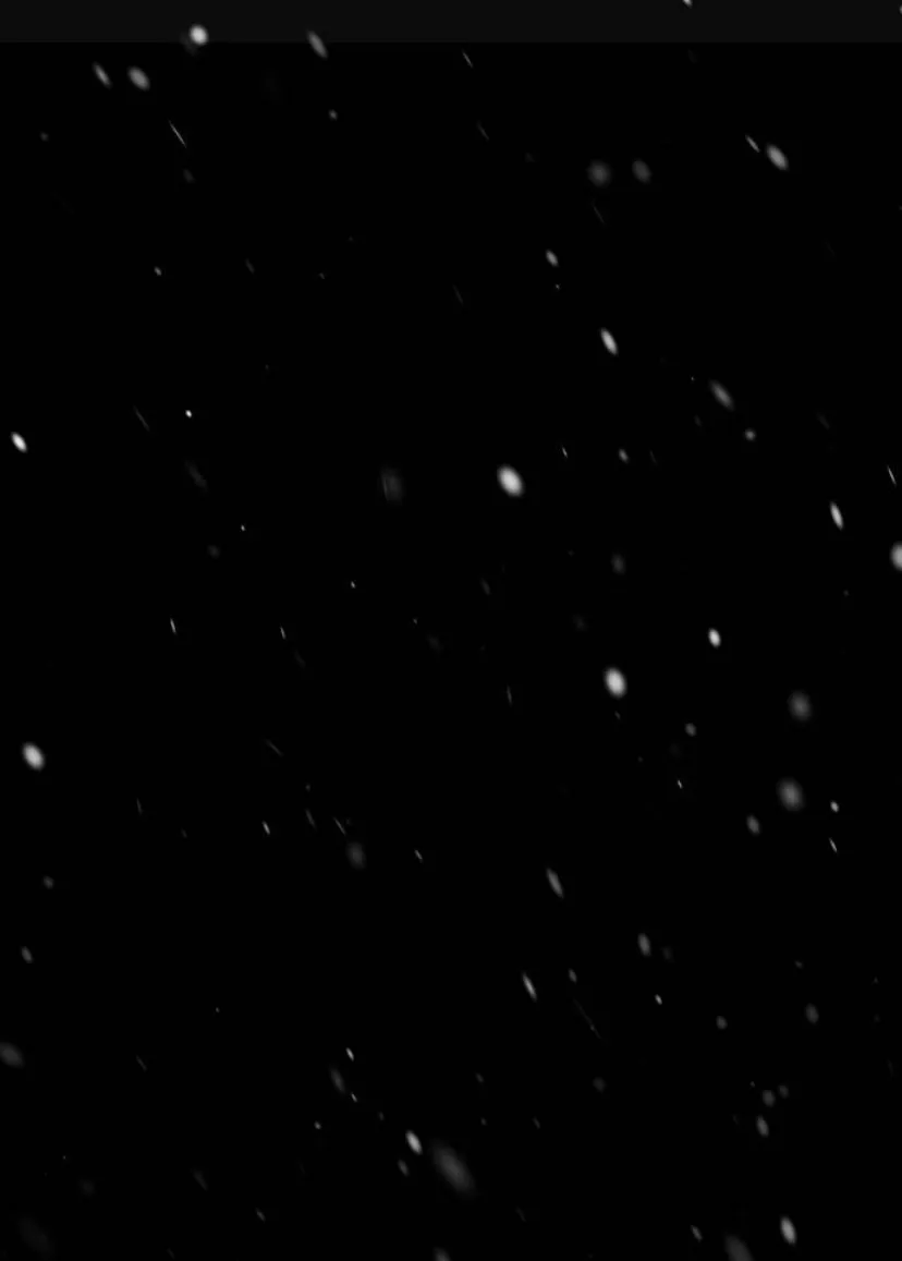 40 Príncipe problemático