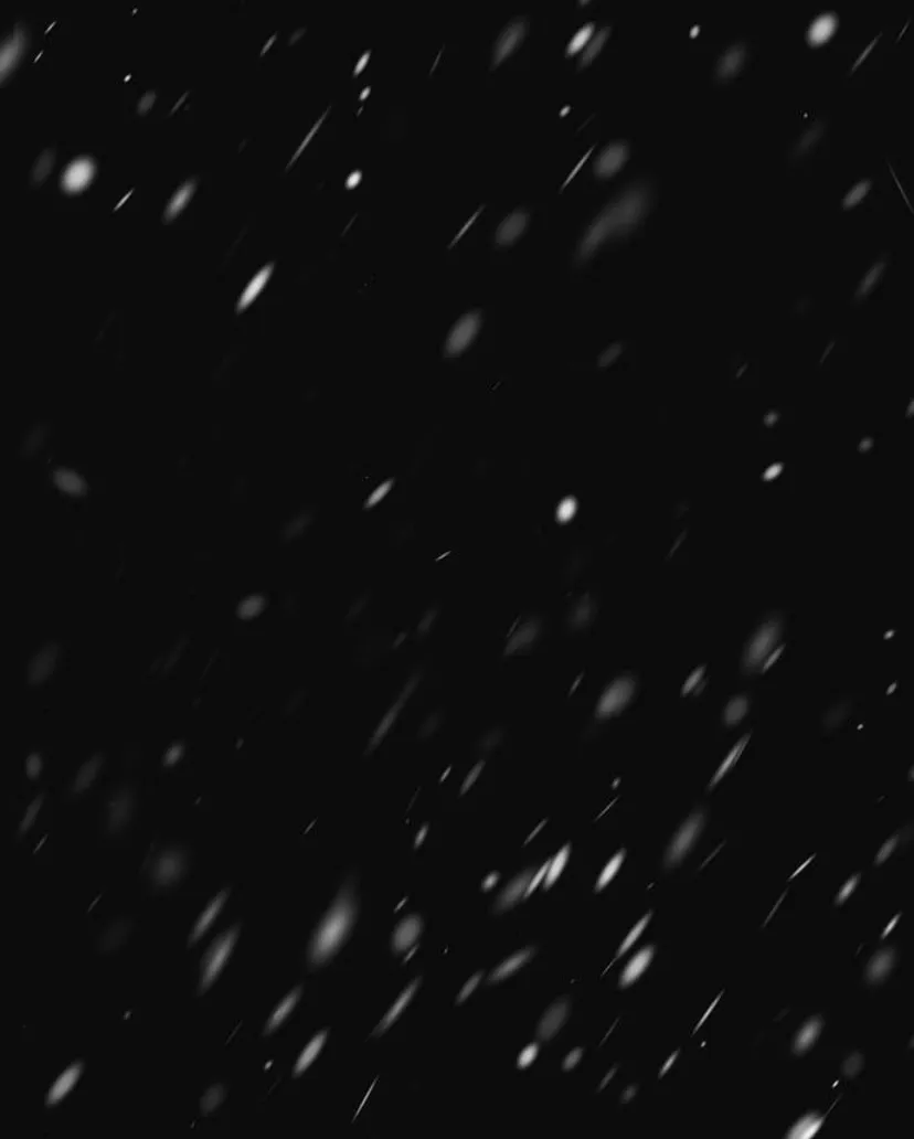 125 Príncipe problemático