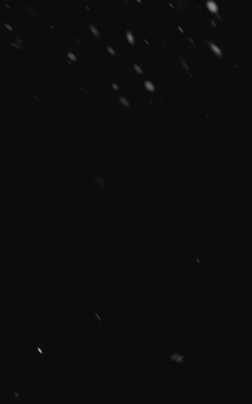 113 Príncipe problemático