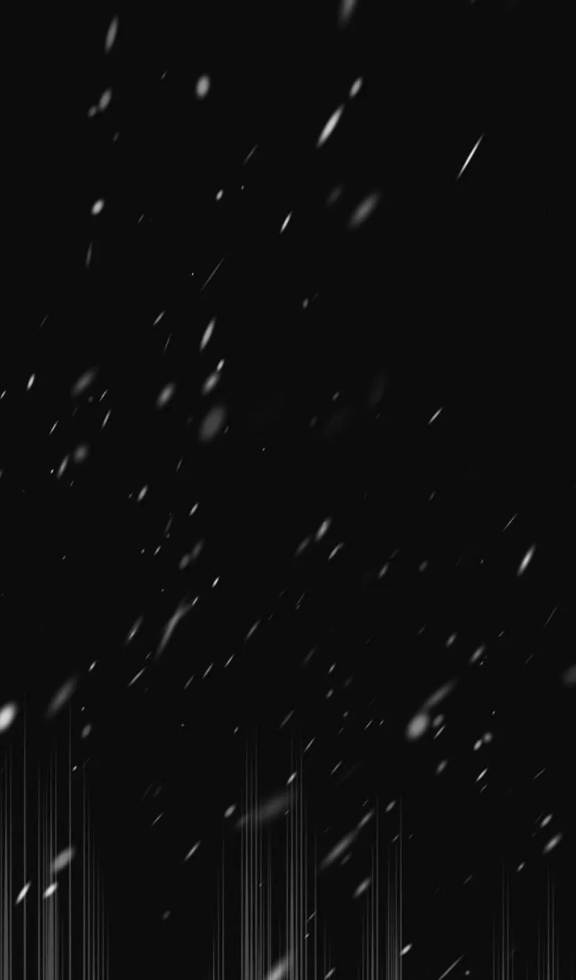 102 Príncipe problemático