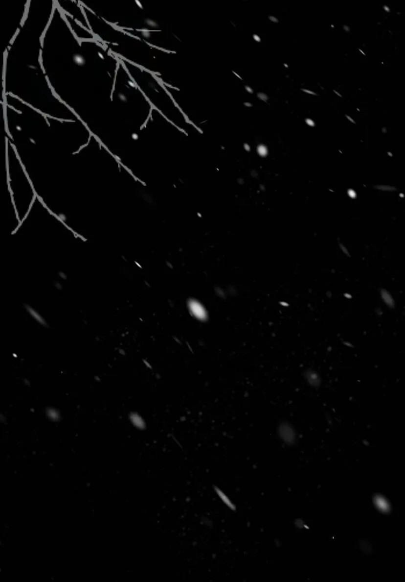 62 Príncipe problemático