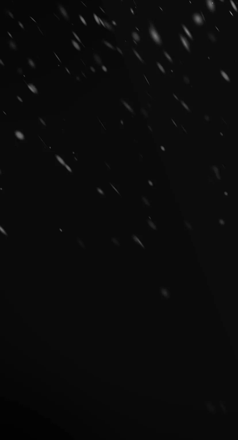 131 Príncipe problemático