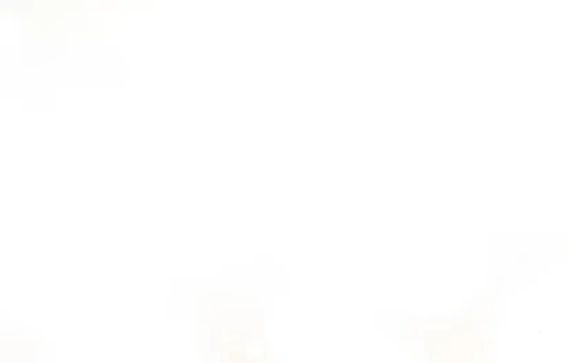 80 Príncipe problemático