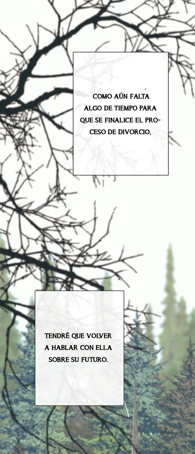 26 Príncipe problemático