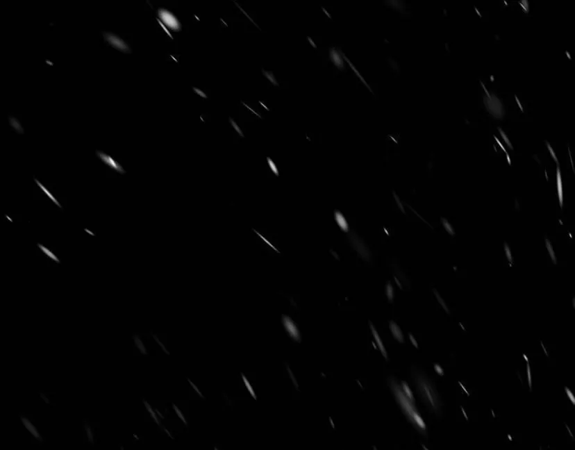 61 Príncipe problemático