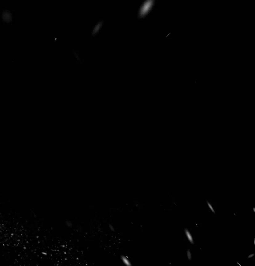 44 Príncipe problemático