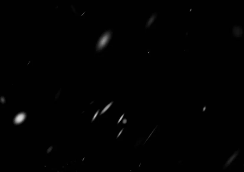 39 Príncipe problemático