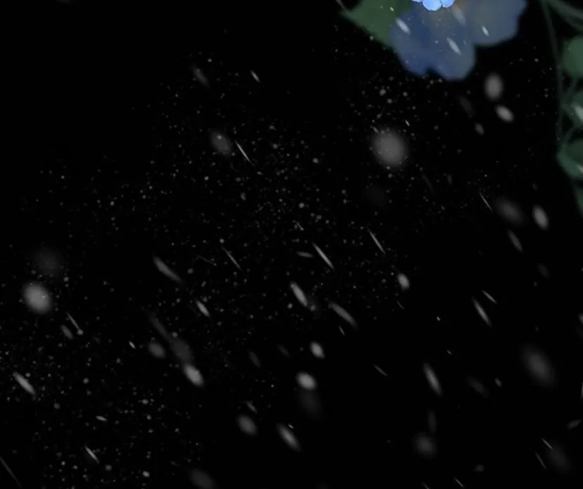 51 Príncipe problemático