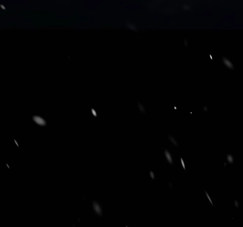 49 Príncipe problemático