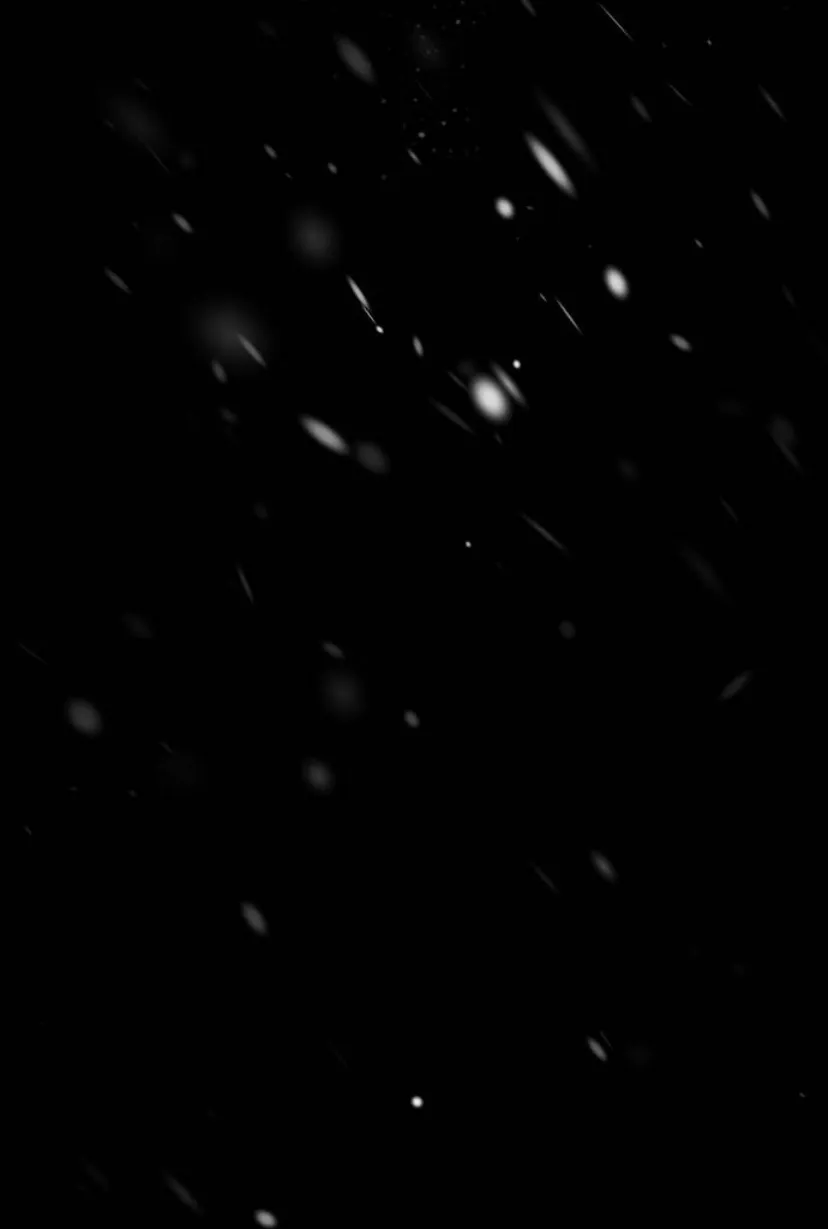 73 Príncipe problemático