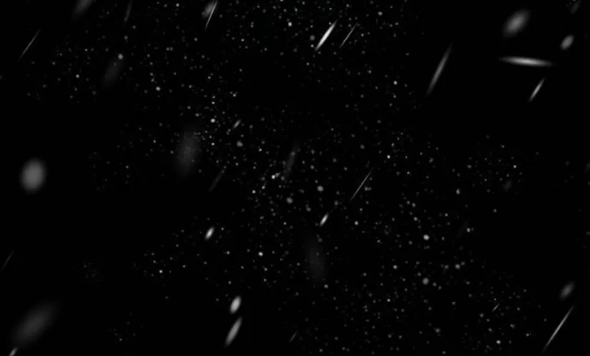 37 Príncipe problemático