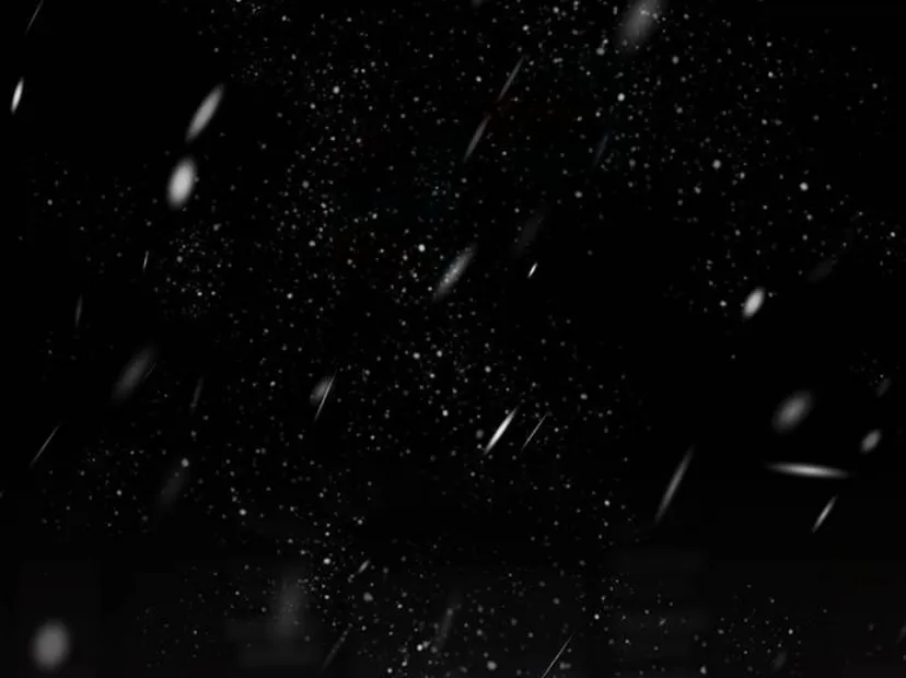 42 Príncipe problemático