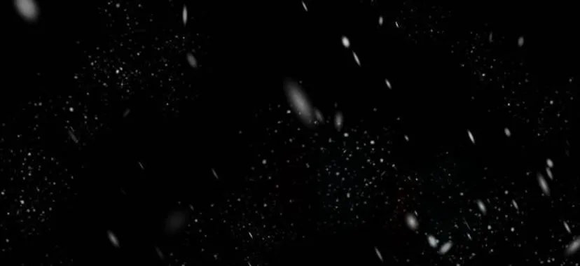 33 Príncipe problemático