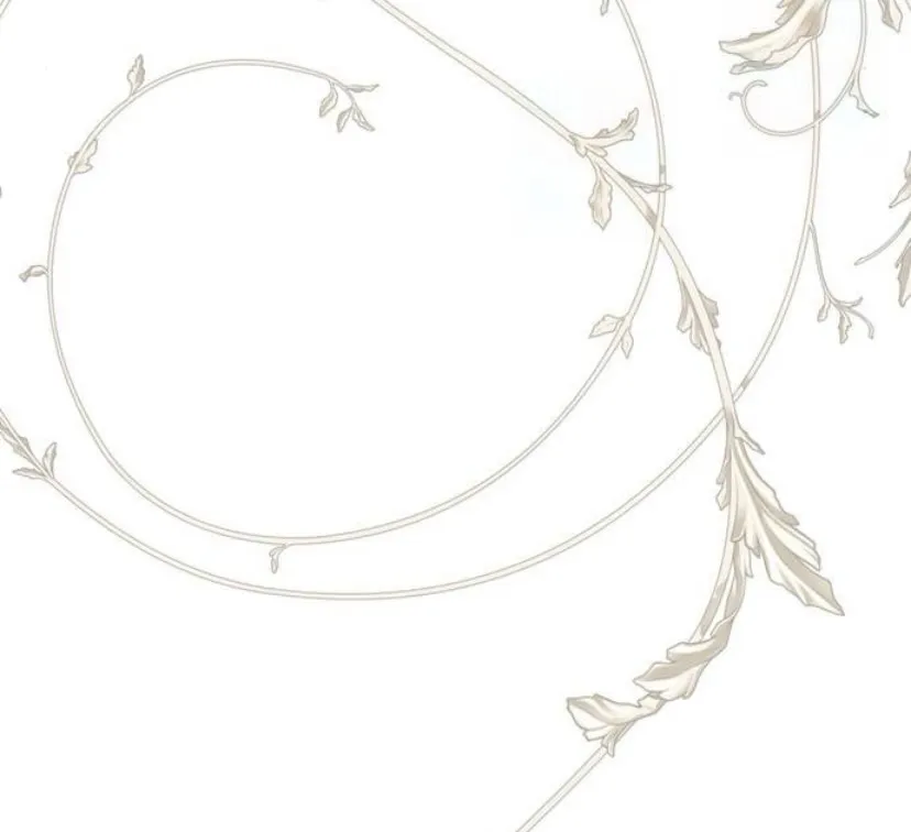 2 Príncipe problemático